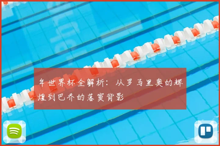 年世界杯全解析:从罗马里奥的辉煌到巴乔的落寞背影